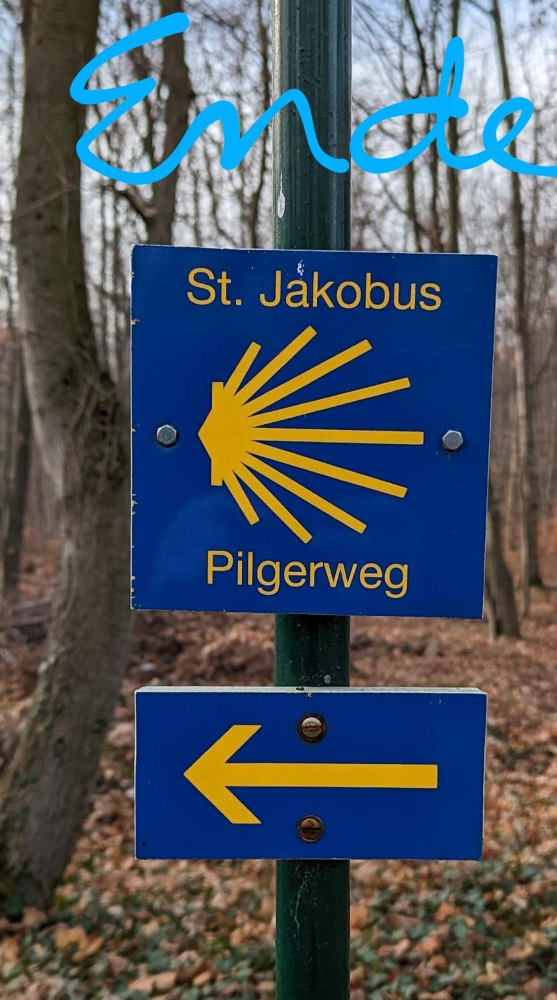 Ruhig - Privatparkplatz - Barrierearm Quiet - Private Car Park - Low Barrier Magdeburg Eksteriør bilde